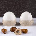 Price & Kensington Acorn Salt and Pepper Set