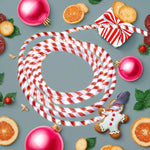 Red & White Candy Cane Christmas Rope Light for Indoor & Outdoor Use - 5.5m
