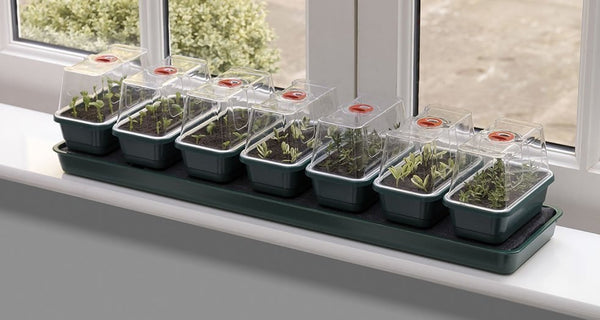 garland self watering windowsill plant tray Garland Super 7 Self Watering Windowsill Propagator - 14 Days Watering