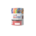 Zinsser AllCoat (Water Based) Exterior Gloss - All Colours - All Sizes